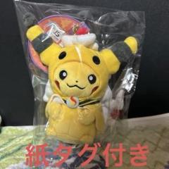 ポケモン ポンチョを着たピカチュウ メガデンリュウ キーホルダー メガデンリュウのポンチョを着たピカチュウ マスコット - メルカリ