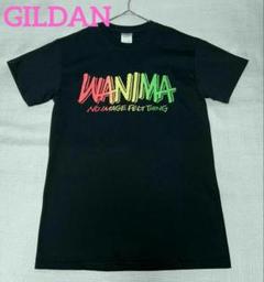 【レア】WANIMA　ピザロゴ　Tシャツ WANIMA - [新品]WANIMA ピザロゴTシャツ Mサイズ PIZZA OF DEATH
