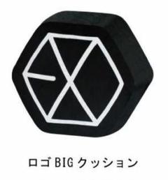 EXO クッション goods_item_sub_1042137_195f8.jpg