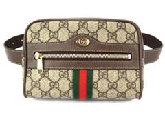 【超美品】Gucci グッチ　ボディバッグ オフィディア・ベルトバッグ