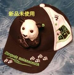 限定品 新品 上野パンダちゃんシンシンママとシャンシャンの