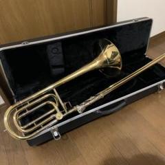 m59042938134_1.jpg?1655813905