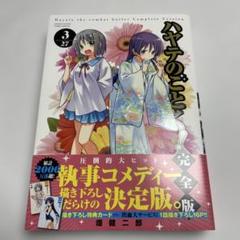 ハヤテのごとく! 完全版 16巻ゲーマーズ特典 A4クリアファイル