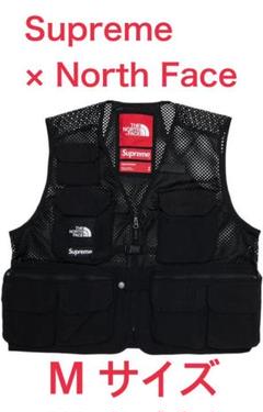 Supreme × North Face Cargo Best