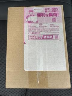 テラスタルフェス 1BOX ポケセン産