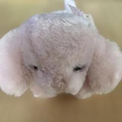 ぬいぐるみ