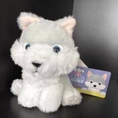 ぬいぐるみ 9点セット らっこ もふっとオオカミ プライズ ぬいぐるみ 9点セット らっこ もふっとオオカミ プライズ - メルカリ