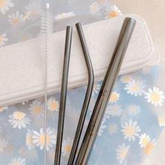 環境に優しいステンレス ストロー セット エコ サスティナブル