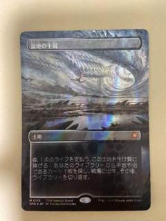 MTG SPG 湿地の干潟 ドラゴルスケイルfoil