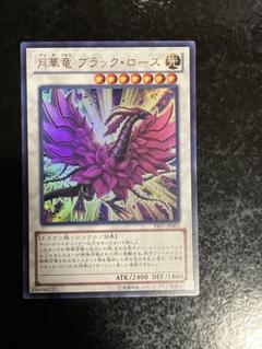 閃こう竜スターダスト、月華竜ブラック▪ローズ UR 月華竜 ブラック・ローズ 販売 | 書籍付属カード | 遊戯王