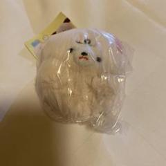 【値下げ！新品未使用】むすっとちゃんガチャガチャ（ねこ）