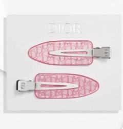 ★ Dior 数量限定ノベルティ　ヘアクリップ2個セット★