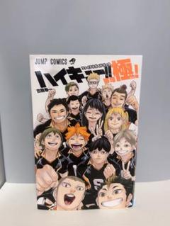 Amazon.com: ハイキュー!! ファイナルガイドブック 排球極
