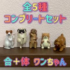 ワンピース バスボール Vol.1 & Vol.2 コンプリートセット全13種 合＋体 ワンちゃん バスボール 全5種 コンプリートセット
