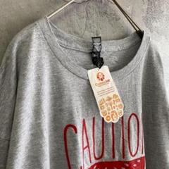 アンビル 未使用 タグ付き 古着 アメリカ輸入 Tシャツ 半袖 プリント スイカ