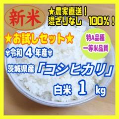 2022年最新】茨城 コシヒカリ 30kgの人気アイテム - メルカリ