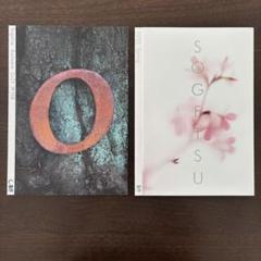 草月のいけばな1-2 – THE GALLERY 草月