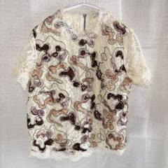 ZARA TRAFALUC ザラ　刺繍レース 半袖トップス Sサイズのサムネイル