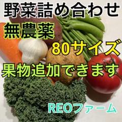 野菜セット 野菜詰め合わせ 80サイズ 無農薬