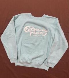 最終値下 80s USA製 Hanes フロッキープリント ラグラン スウェット