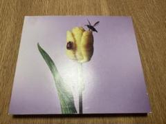 完全未開封!おいしいパスタがあると聞いて（初回限定盤） 41lWQ3bHlNL.jpg_BO30,255,255,