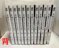 文豪ストレイドッグス1～12巻（訳アリ）