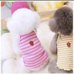 【新品未開封】犬服 猫服 タンクトップ Mサイズ 3色