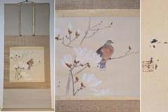 【真作】掛軸 白木蓮に山鳩 上品な春の情景 春の静寂 花鳥逸品 合箱入 R108 真作】掛軸 白木蓮に山鳩 上品な春の情景 春の静寂 花鳥逸品 合