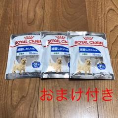 ロイヤルカナン 試供品 50g×3 ☆おまけ付き☆