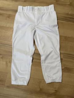 新品マジェスティックユニフォームズボン　M