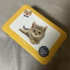 お菓子　空き缶　猫　ネコ　まとめ売り 猫クッキー缶｜中缶 バニラ｜猫クッキー：プレーン | クッキー缶