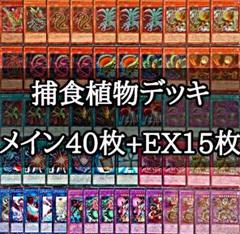 遊戯王 捕食植物デッキ【メイン40枚+EX15枚】