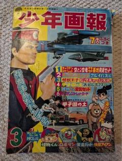 驚きの価格が実現！ 少年画報 昭和43年3月号 メルカリ - 7大ふろく付き その他