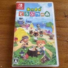 あつまれ どうぶつの森 Nintendo Switch