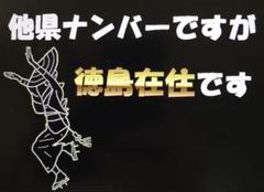 【在庫限り/超特価 24時まで】県外ナンバーカスタム可能、県内、在住、徳島県