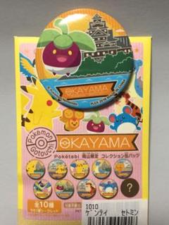 メルカリ ポケモンセンター マスコット カーニバルピカチュウ オス キャラクターグッズ 990 中古や未使用のフリマ メルカリ ポケモンセンター マスコット カーニバルピカチュウ オス キャラクターグッズ 990 中古や未使用のフリマ