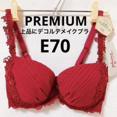E70 トリンプ プレミアムデザイン 0062 ブラジャー