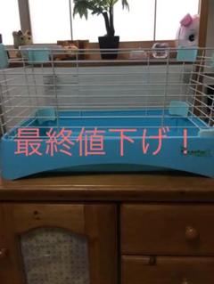 モルモット用 ゲージ 中古 おまけ付き