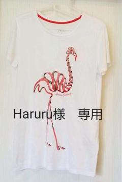 アルマーニ エクスチェンジ レディースTシャツ