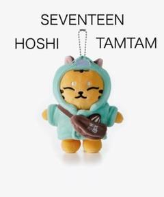 seventeen ホシ ミニティーン ぬいぐるみ 2025年最新】ミニティーン seventeen ホシの人気アイテム - メルカリ