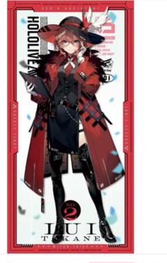 専売用鷹嶺ルイ等身大タペストリー Amazon.co.jp: ホロライブ 鷹嶺ルイ 等身大タペストリー