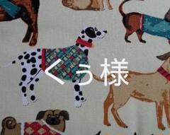 盗賊の鍵の中古 未使用品を探そう メルカリ