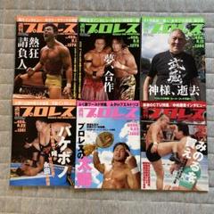 週間ゴング15冊＋週間プロレス1冊　計16冊セット 週間ゴング15冊＋週間プロレス1冊計16冊セット
