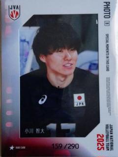 2025 バレーボール男子日本代表　小川智大　生写真カード　290枚限定