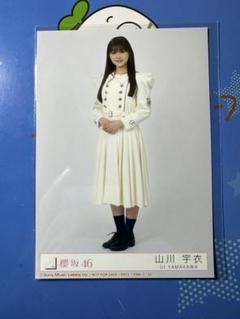 櫻坂46 12th Make or Break 封入生写真 山川宇衣 ヒキ.