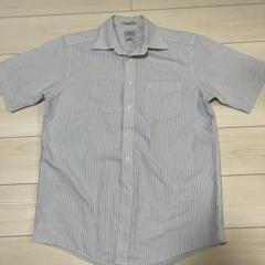 LL.Bean ストライプシャツ 15-26