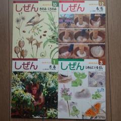 しぜん 絵本 4冊 セット キンダーブック フレーベル館 - メルカリ