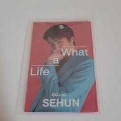 EXO EXO-SC セフン キノ トレカ 2025年最新】exo sc トレカの人気アイテム - メルカリ