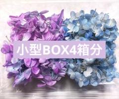 紫陽花 ネイビーブルー | marcam