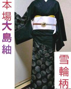 2025年最新】着物 御召し 訪問着の人気アイテム - メルカリ